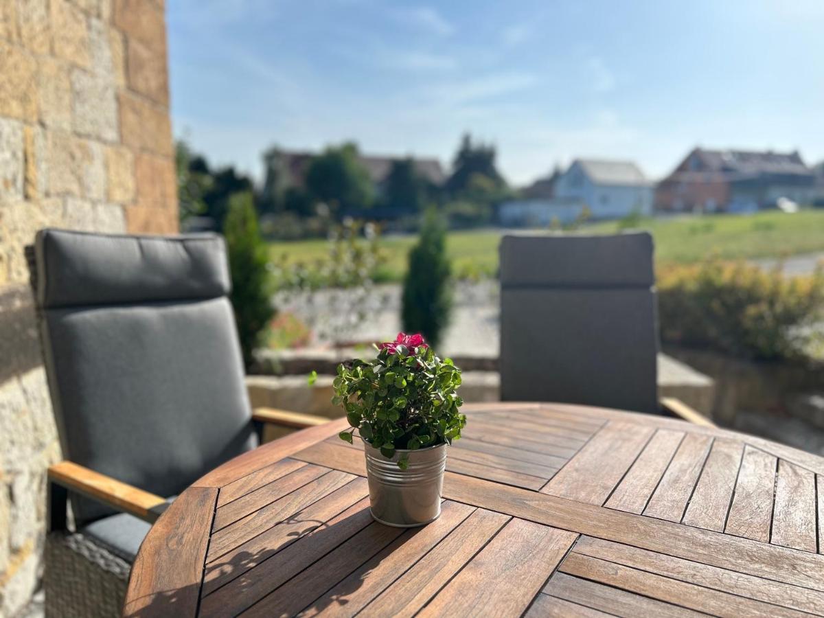 Schlosspark Apartment I 80Qm I 3 Betten I Bei Dresden Heidenau  Ngoại thất bức ảnh